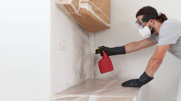 Professional Mold Testing technician working in East Northport, NY